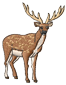 deer1.png