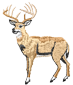 deer2.png