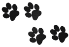 dogprints.png