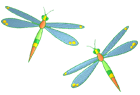 dragonflies.png