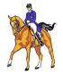 dressage.png