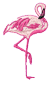 flamingo.png