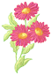 flower2.png