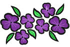 flower6.png