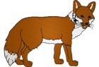 fox.png