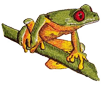 frog2.png