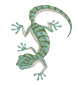 gecko2.png