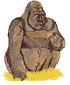 gorilla3.png