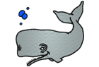 greywhale.png