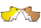 hamster2.png