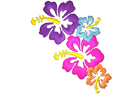 hawaiian-flowers.png