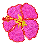 hibiscus.png