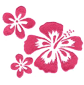 hibiscus2.png