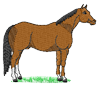 horse1.png