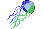 jellyfish3.png