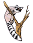 lemur2.png