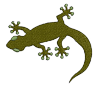 lizard.png