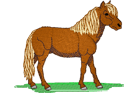 miniature-horse.png