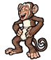 monkey2.png