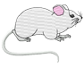 mouse.png