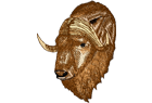 muskox1.png