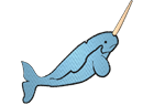 narwhal.png