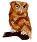 owl1.png