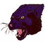 panther1.png