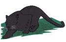 panther2.png