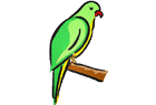 parakeet.png