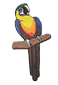 parrot1.png