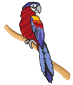 parrot2.png