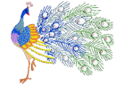 peacock.png