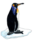 penguin1.png