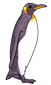 penguin3.png