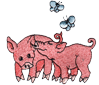 pigs2.png