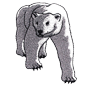 polar-bear.png