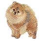 pomeranian.png