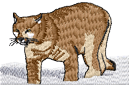 puma.png