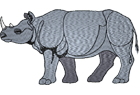 rhino2.png