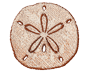 sanddollar.png