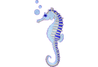 seahorse2.png