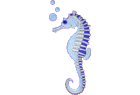 seahorse2.png