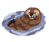 seaotter.png