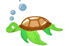 seaturtle3.png