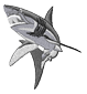 shark1.png