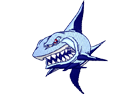 shark5.png