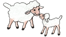 sheep2.png