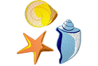 shells4.png