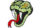 snake-head.png